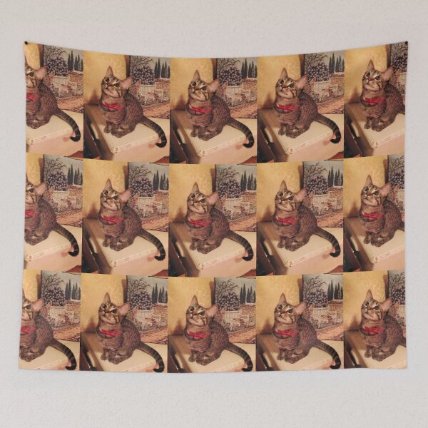 Item preview, Sweet Baby Kitten Up to No Good! designed and sold by Tracie J.