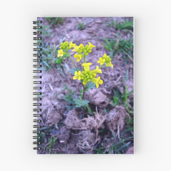 Aperçu de l'œuvre Determination créée et vendue par spiritsfreedom.