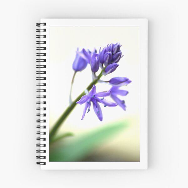 Item preview, Scilla I designed and sold by orchiddesign.
