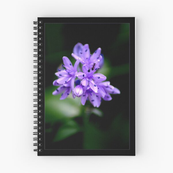 Item preview, Scilla II designed and sold by orchiddesign.