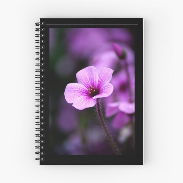 Item preview, Geranium designed and sold by orchiddesign.