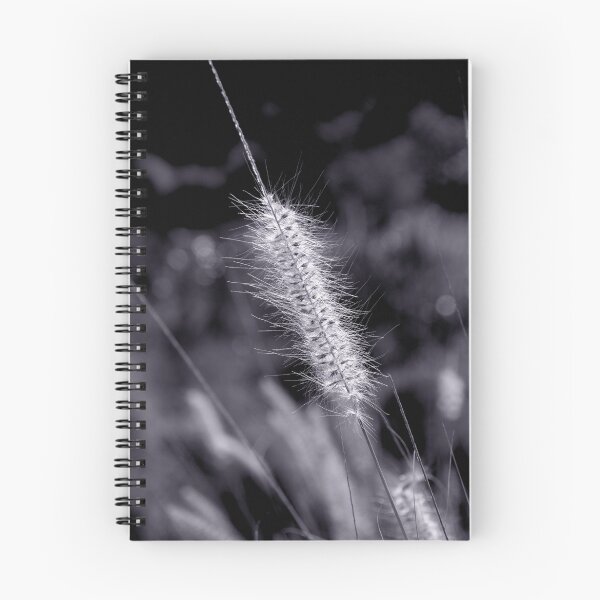Item preview, Grass Seed Sunshine designed and sold by Jeff Catford.