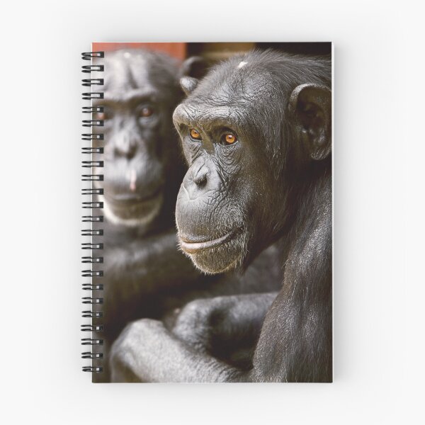 Item preview, Old men at the Zoo... designed and sold by Chris Tolmie.