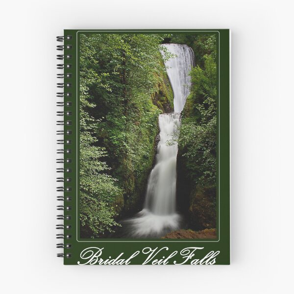 Aperçu de l'œuvre Bridal Veil Falls créée et vendue par David Chappell.
