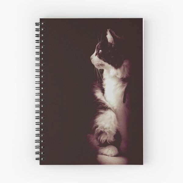Item preview, Another Cat Picture For The Internet designed and sold by Cafrine.