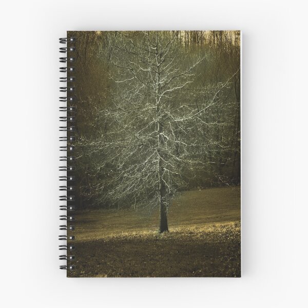 Item preview, Bare Tree on a Springtime Sunset designed and sold by Yuri Lev.