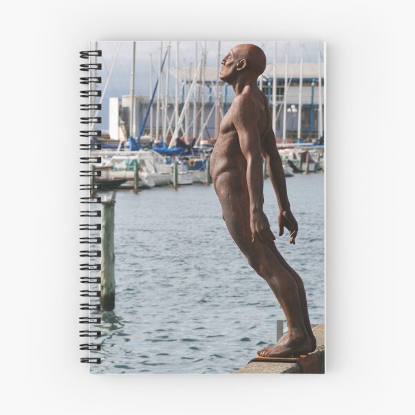 Item preview, Guardian designed and sold by Denzil.