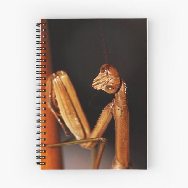 Item preview, Praying Mantis designed and sold by Matt Sillence.