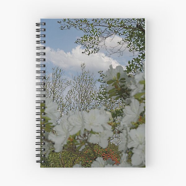 Item preview, Spring Sky 2 designed and sold by Adrena87.