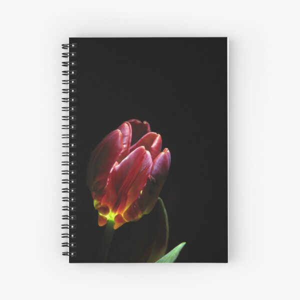beauty comes from within Spiral Notebook