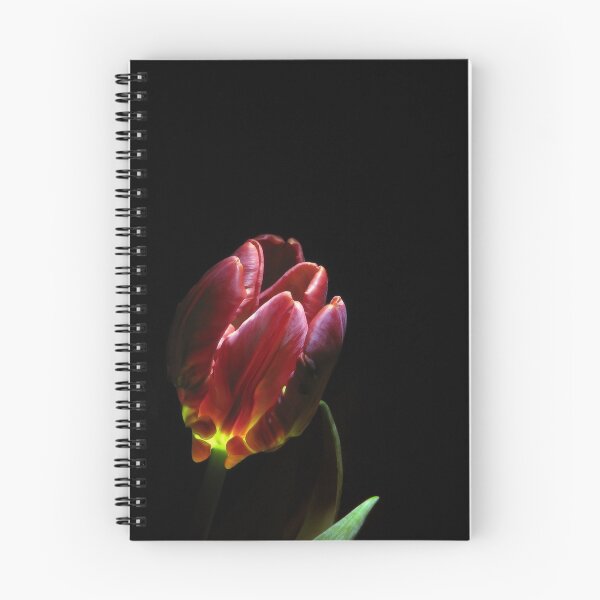 Item preview, beauty comes from within designed and sold by Adriana Glackin.