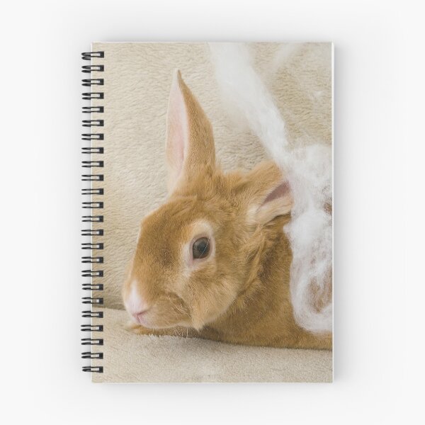 Item preview, ¡Conejito ve un fantasma! designed and sold by South Coast Rabbit Rescue.