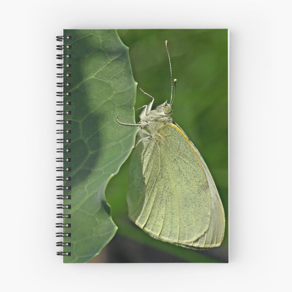 Item preview, Cabbage White Butterfly designed and sold by Daveart.