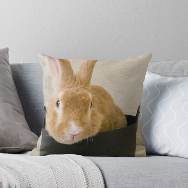 Item preview, Conejito en un caldero designed and sold by South Coast Rabbit Rescue.