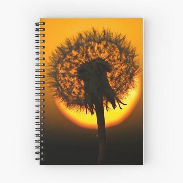 Item preview, Eclipse designed and sold by Rose Atkinson.