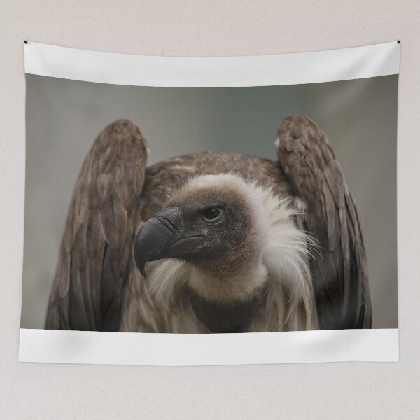 Item preview, Vulture designed and sold by irishjohn.