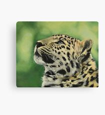 Amur Leopard, Kazimir Canvas Print