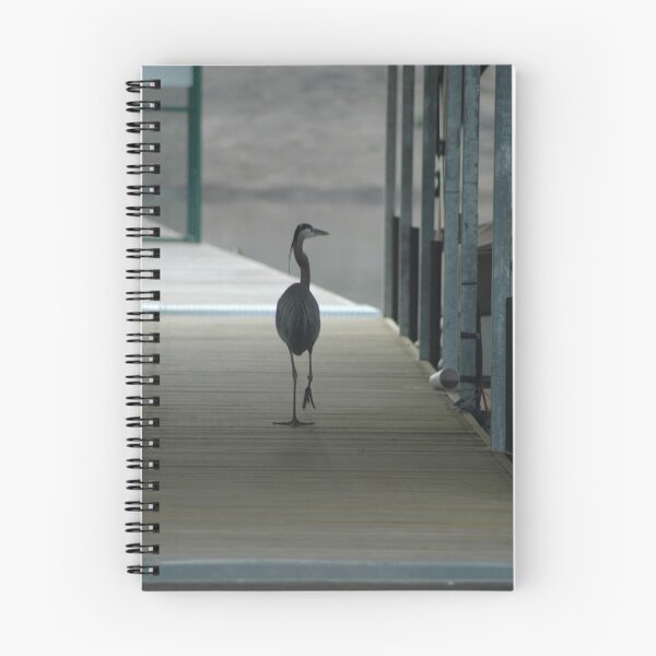 Item preview, Checking out the Marina designed and sold by KBSImages.