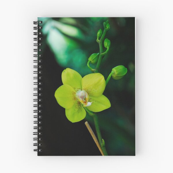 Item preview, Just LIme designed and sold by Michele Duncan IPA.