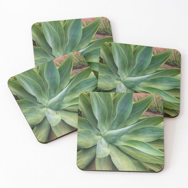 Item preview, Lanzarote Agave designed and sold by iCimages.net.