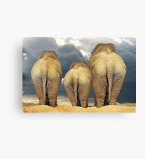 Traveling Elephant Family Canvas Print