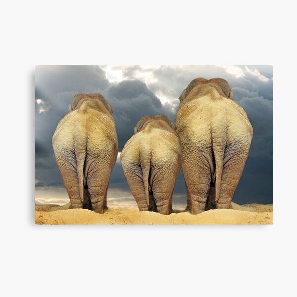 Traveling Elephant Family Canvas Print