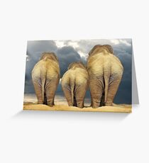 Traveling Elephant Family Greeting Card