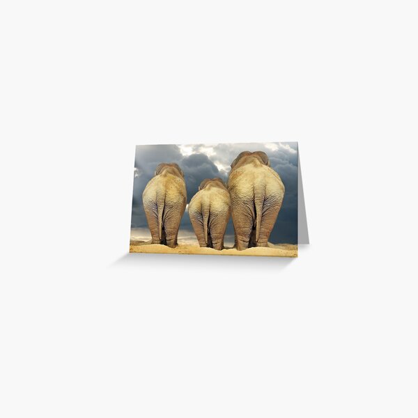 Traveling Elephant Family Greeting Card