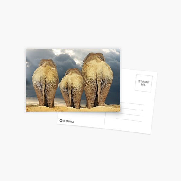 Reisende Elefantenfamilie Postkarte