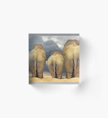 Traveling Elephant Family Acrylic Block