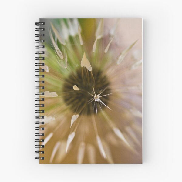 Item preview, Sunburst 4 designed and sold by Rose Atkinson.