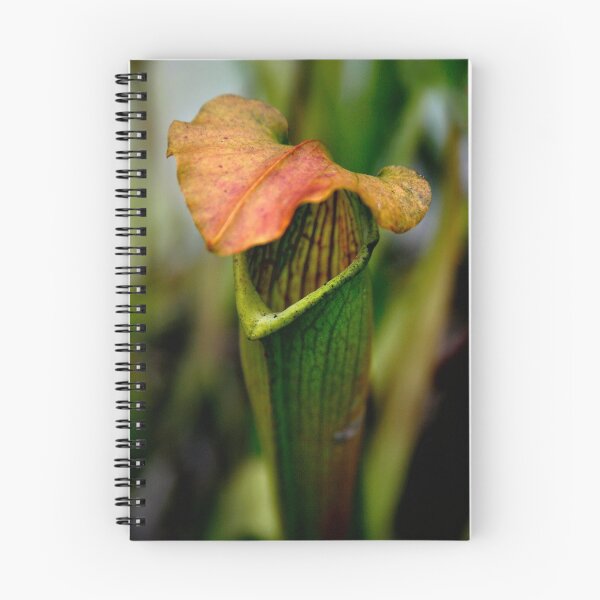 Item preview, Pitcher Plant Colors designed and sold by Jonicool.