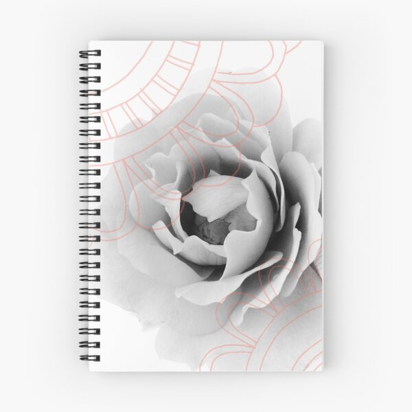 Artikelvorschau, Blumenillustrationsserie entworfen und verkauft von Samantha Nelson.