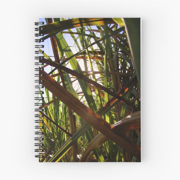 Item preview, sugar cane designed and sold by Renee Matheson.