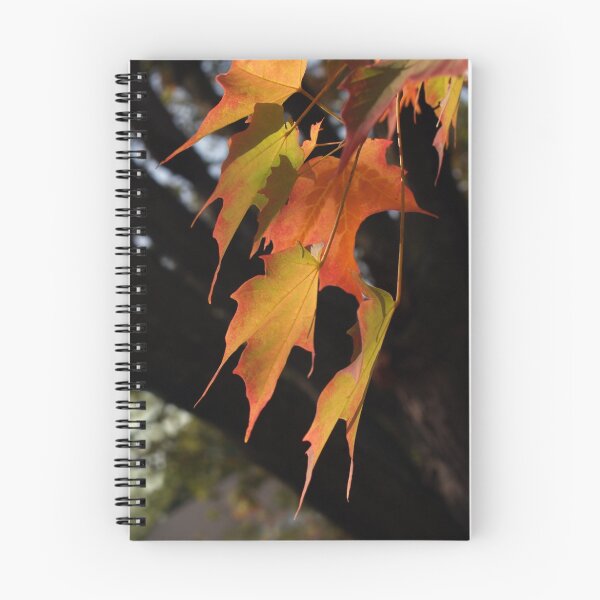 Item preview, Sugar Maple Leaves, Back-lit designed and sold by Anna Lisa Yoder.