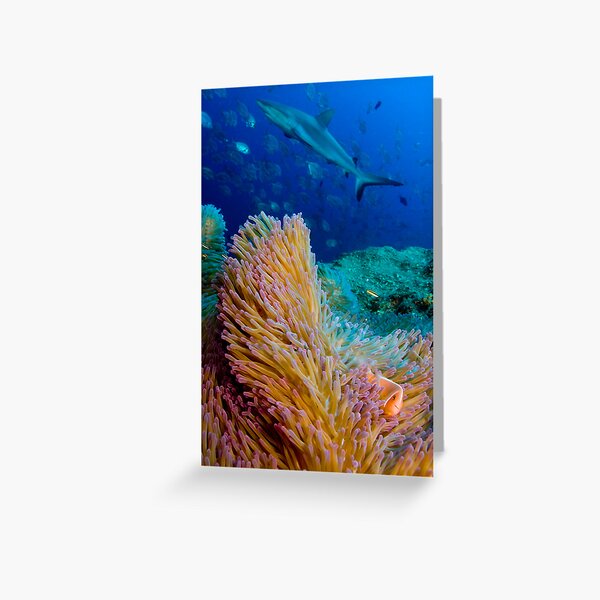 Shark and anemone fish Greeting Card