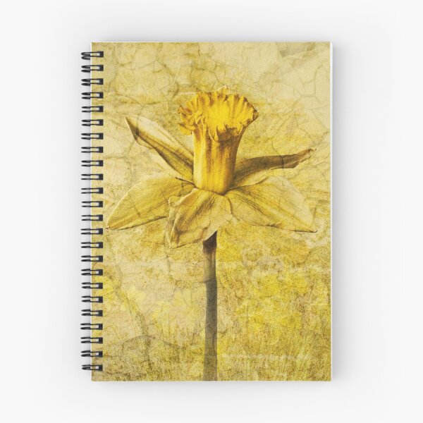 Item preview, Jonquil designed and sold by Creative by Design.