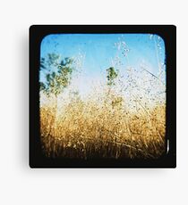The Land that Was Canvas Print