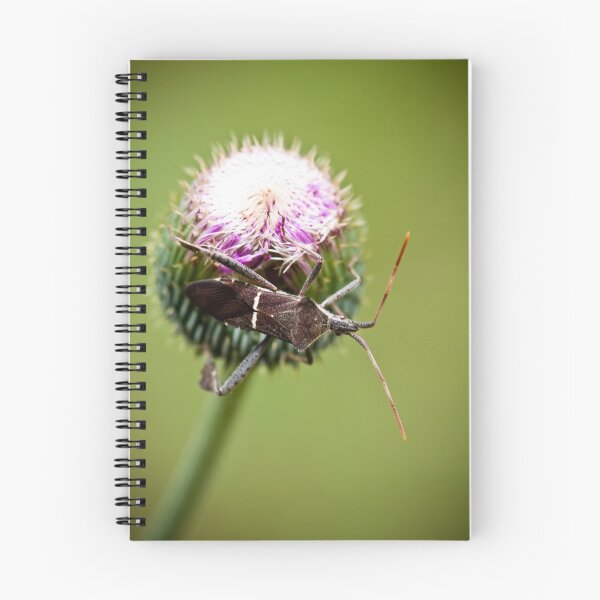 Artikelvorschau, Simplistic Wonder entworfen und verkauft von Charles Dobbs Photography.