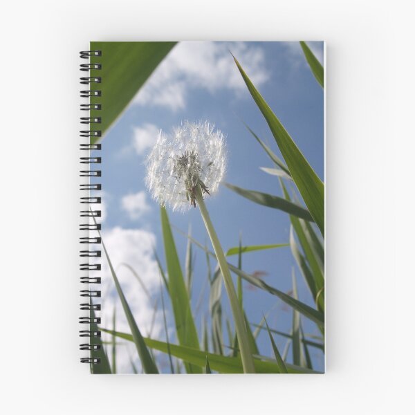 Item preview, nice day designed and sold by Barry Adkin.
