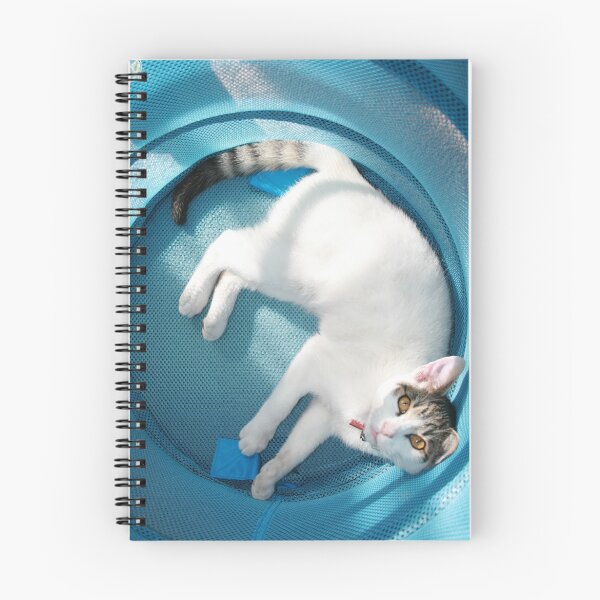 Artikelvorschau, I did the washing for you entworfen und verkauft von Tracey McKenzie.
