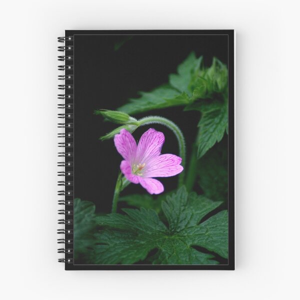 Item preview, Geranium designed and sold by orchiddesign.