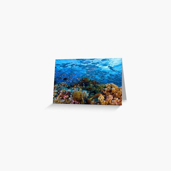 Coral Reef Greeting Card