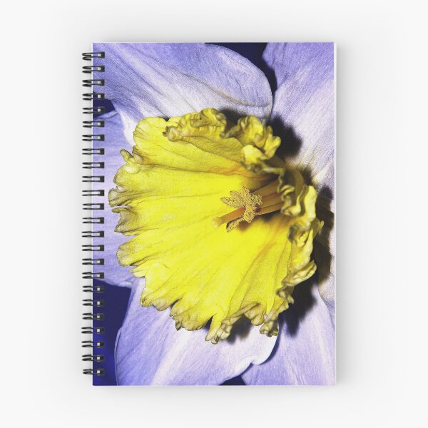 Artikelvorschau, The Daffodil entworfen und verkauft von stevewalton.