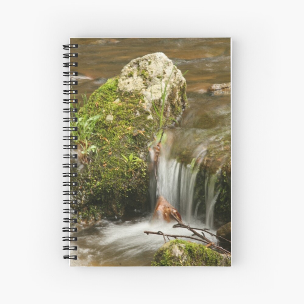 Item preview, Spiral Notebook designed and sold by annifer.