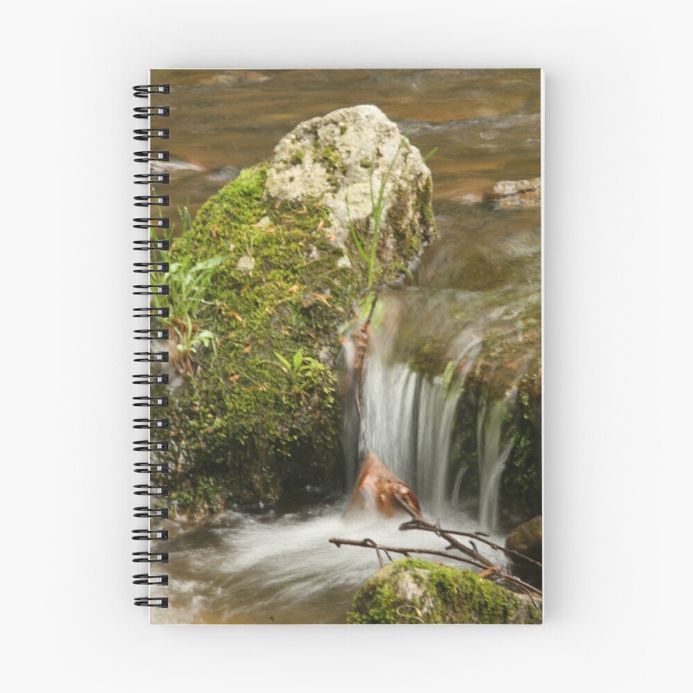 Item preview, Spiral Notebook designed and sold by annifer.