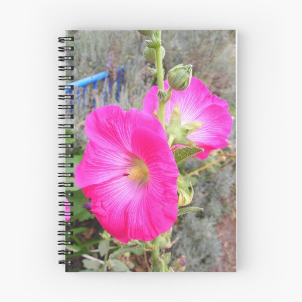 Item preview, "Jamestown Hollyhocks" designed and sold by Gail Mew.