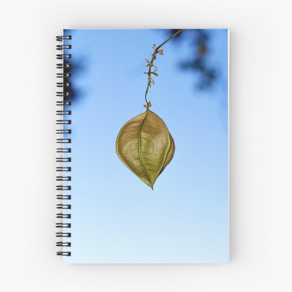 Item preview, Pod designed and sold by Steve  Woodman.