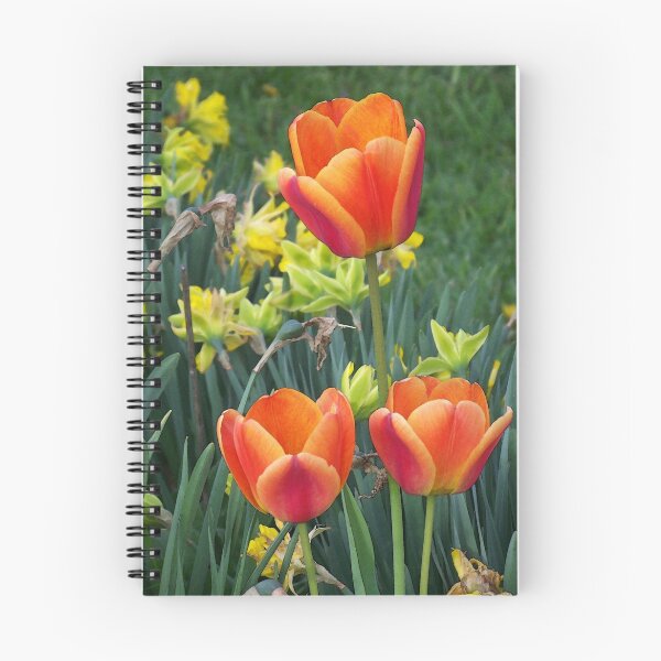 Item preview, Orange Tulips designed and sold by peggywright.