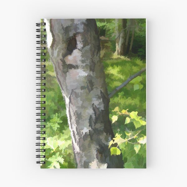 Item preview, Abstract of Silver Birch designed and sold by hilarydougill.